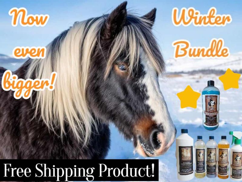 Winter Bundle